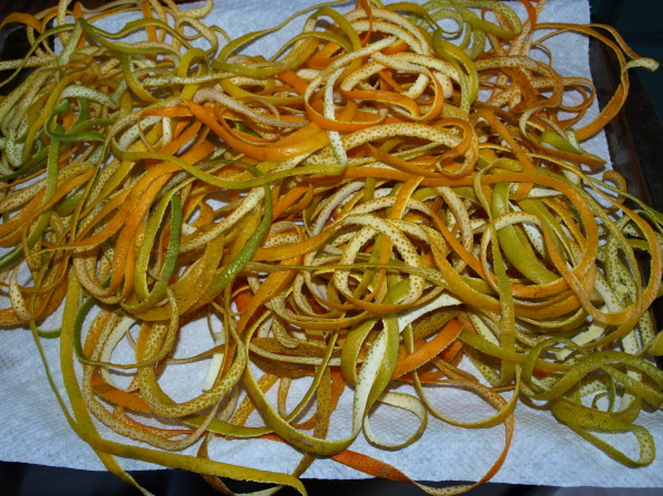 Orange Peel drying for grinding